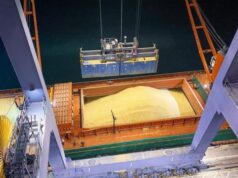 Rekordumschlag: ukrainische Seehäfen auf dem Höhepunkt