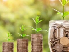 Steigende Preise für Land: Dynamik des ukrainischen Marktes