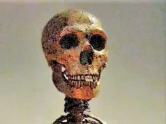 Erster Fall des Down-Syndroms bei Neandertalern: Eine Studie Entdeckung