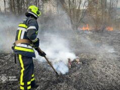 Brand am See in Kiew