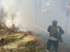 Waldbrände in der Oblast Donezk: Die Feuerwehr hat das Feuer gelöscht