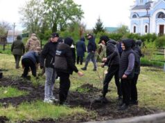 Exotische grüne Initiative bei Kiew