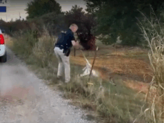 Beamte in Michigan retten ein Reh, das zwischen Betonsperren gefangen war