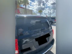 Florida Mann wirft Stein durch das Autofenster eines ICE-Agenten, während sein Vater festgenommen wird: Polizei