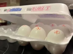 Colorado plant Finanzierung von Lebensmittelbanken während der anhaltenden Schließung