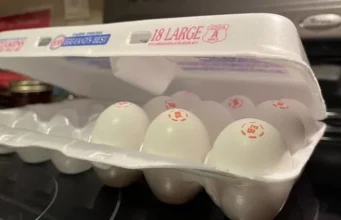 «Колорадо борется с продовольственной нестабильностью: меры губернатора в условиях федерального кризиса»