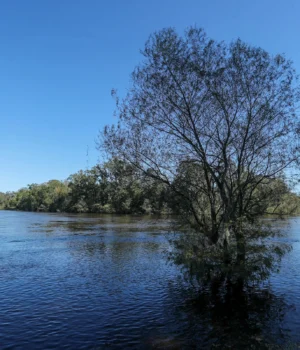 84a918ec2282dcfdb06087aba45199f6