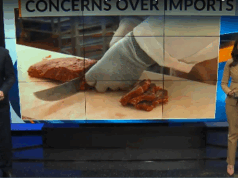 Rancher in New Mexico äußern Bedenken bezüglich Trumps Plan, Rindfleisch aus Argentinien zu importieren